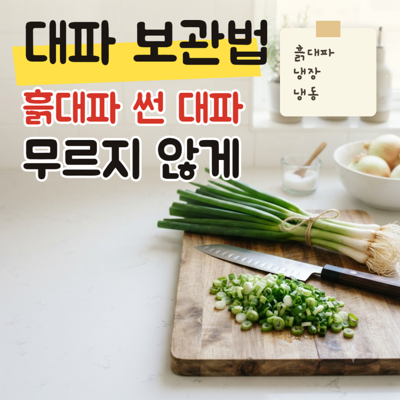대파 보관법, 흙대파와 썬 대파 냉장 냉동으로 무르지 않게 오래 두는 요령