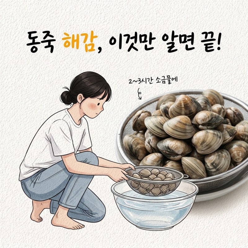 "동죽 해감은 2~3시간이래요" 동죽 해감 동죽 칼국수 바지락 차이 동죽 소금물 해감 시간