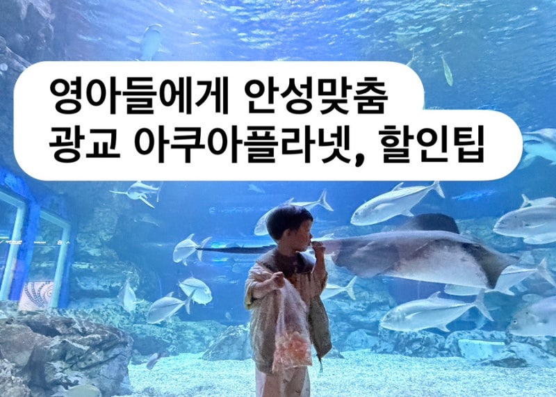 한글날연휴 아이와 갈 곳, 광교 아쿠아플라넷 할인 & 관람 꿀팁