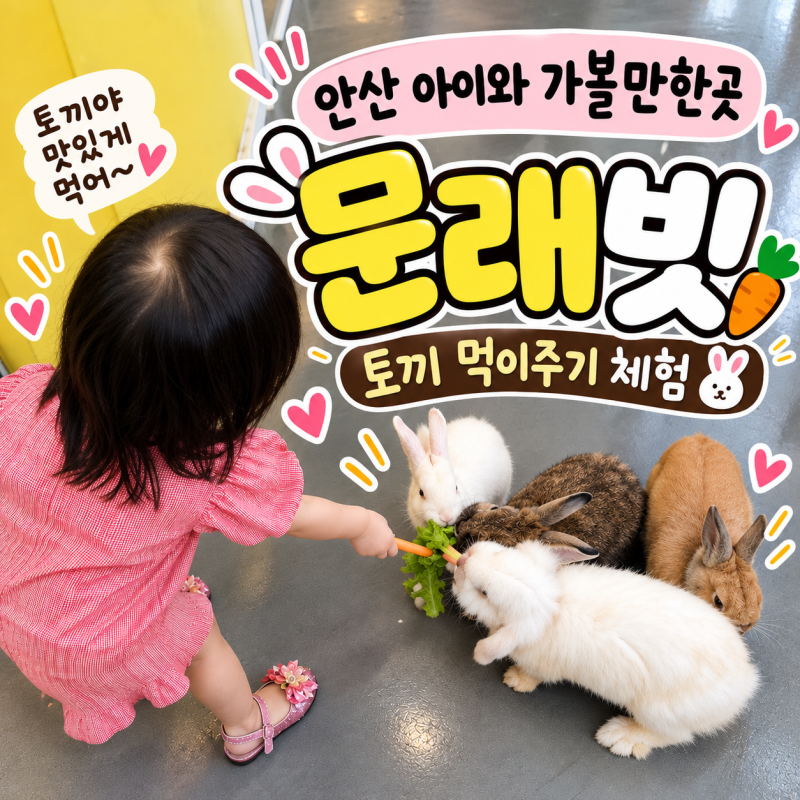 안산 아이와 가볼만한곳 문래빗 토끼 먹이주기 실내 동물체험 후기