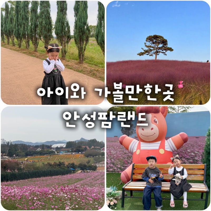 안성팜랜드 아이랑 가볼만한곳, 10월 가을 여행지 추천