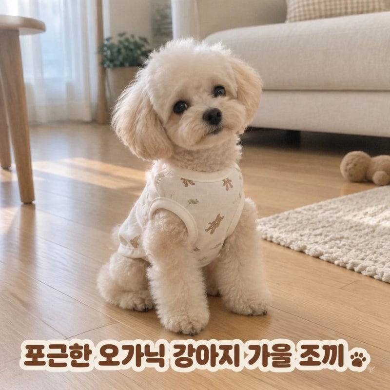 강아지가을옷 실내복 추천 해피앤퍼피 오가닉 순면 베이비곰 조끼