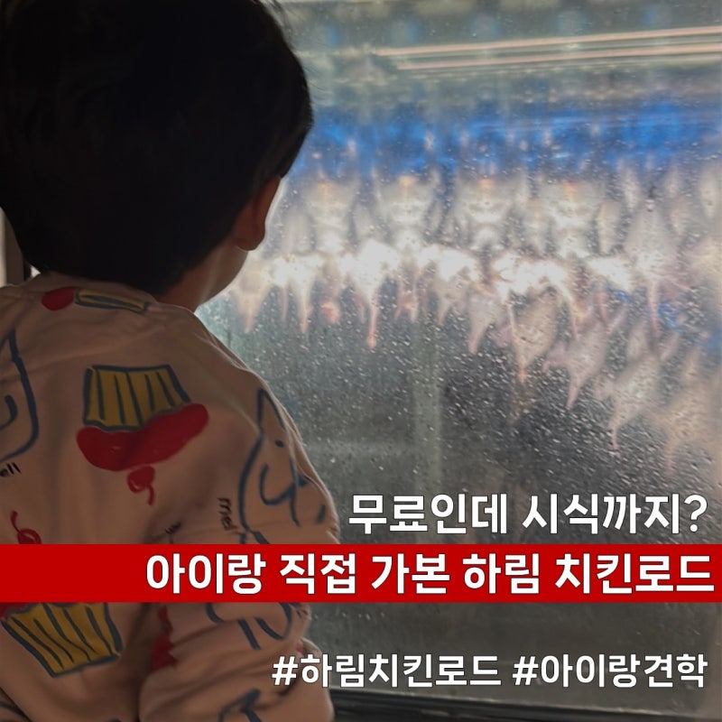 익산 하림 치킨로드 HCR ｜5살 아이와 공장투어, 예약방법까지