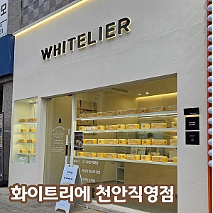 불당동 빵집 화이트리에 천안직영점 생식빵 후기