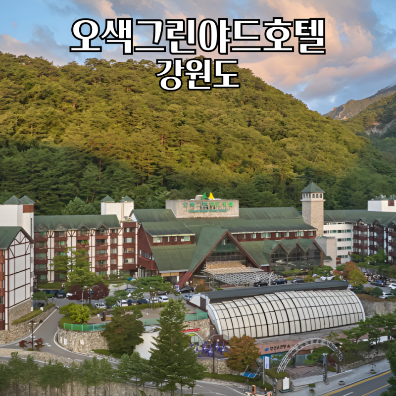 오색그린야드호텔 설악산 단풍 온천까지 즐기는 양양 숙소