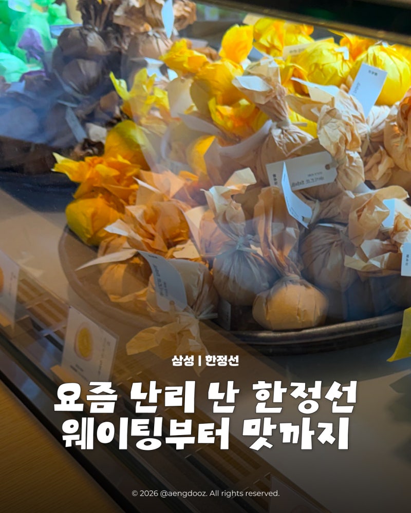 한정선 현대백화점 무역센터점 웨이팅 후기｜평일 250팀 대기, 그릭요거트 찹쌀떡 솔직후기