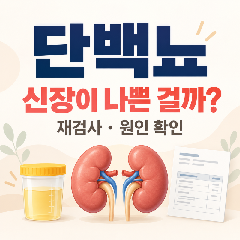 소변검사에서 단백뇨가 나왔다면? 재검사와 확인할 원인