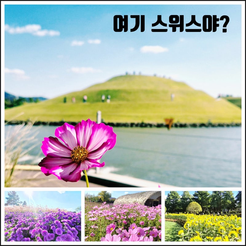 순천만국가정원 이용꿀팁 동문 입장료 관람차 스카이큐브 꽃