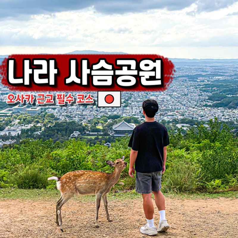 오사카 근교 여행 일본 나라 사슴공원 가는법 와카쿠사산