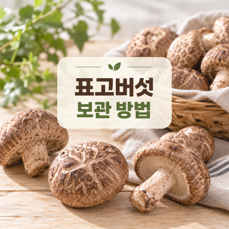 표고버섯 보관방법｜냉장고에 그냥 넣어도 될까?