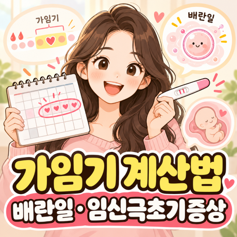 가임기계산법 가임기 뜻 임신확률 배란일계산 임신극초기증상