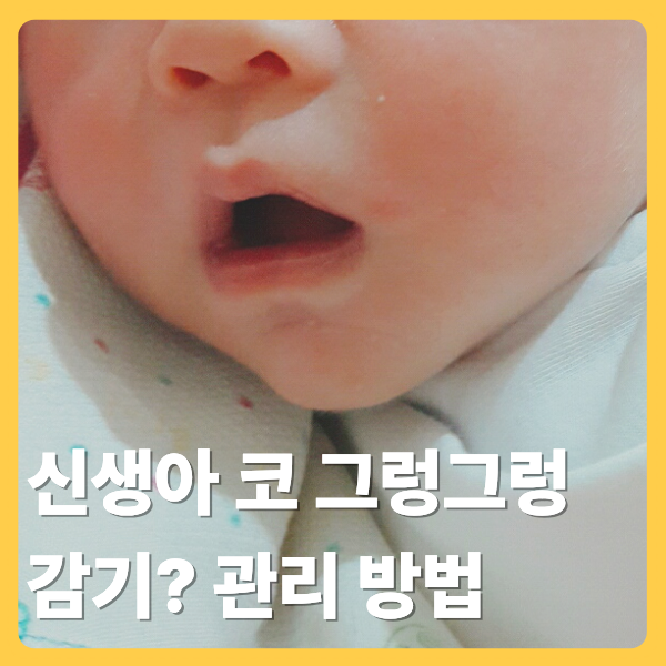 신생아 코 그렁그렁 식염수·습도·기침, 감기일까? 실제 신생아 코막힘 병원 경험담