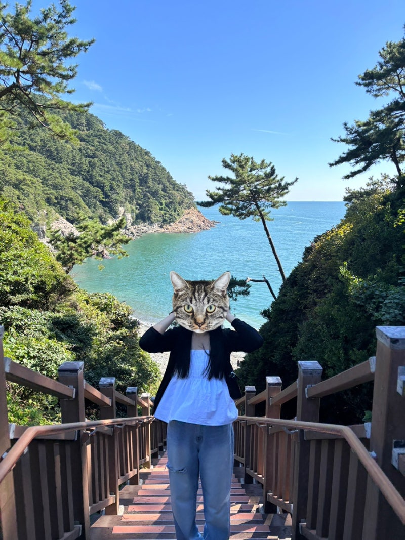[부산]2박 3일 여행-3일차 / 나막집, 부산시티투어 버스투어 / 태종대 사진스팟 사진명소 가는....