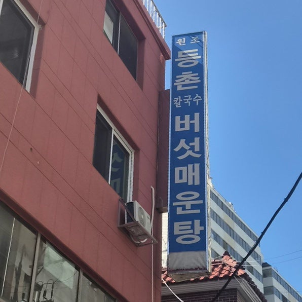 등촌동 맛집 최월선칼국수｜전현무계획 버섯매운탕 맛집, 메뉴·가격·주차 후기