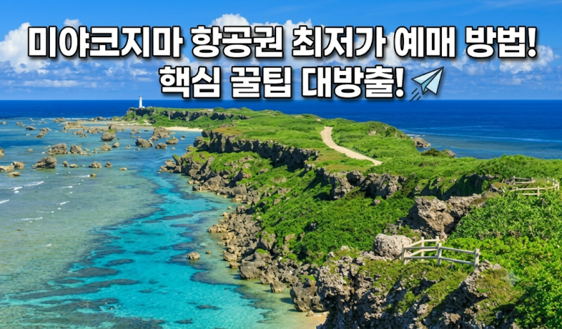 미야코지마 항공권 최저가 예매: 수하물 꿀팁 일본여행 완벽 가이드