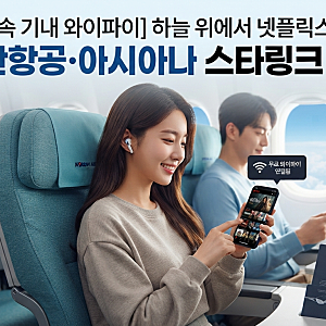대한항공, 아시아나 항공 무료 와이파이 스타링크 사용가능한 비행기 기종, 노선, 요금 사용....