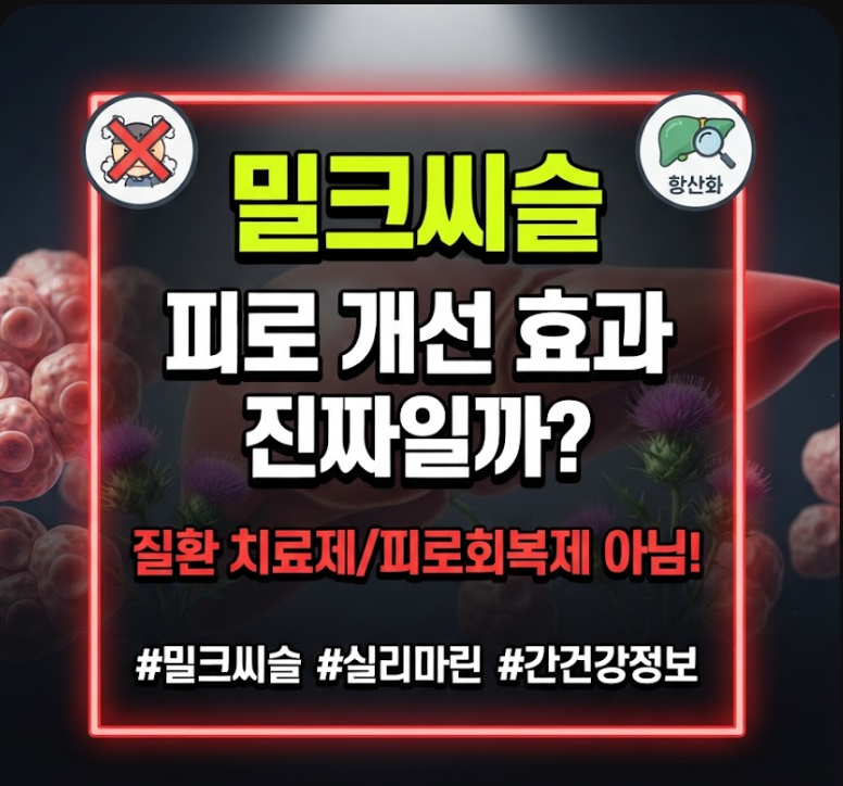 피로 때문에 찾는 밀크씨슬, 왜 기대와 다를까? 실리마린 핵심 작용과 복용 전 필수 점검
