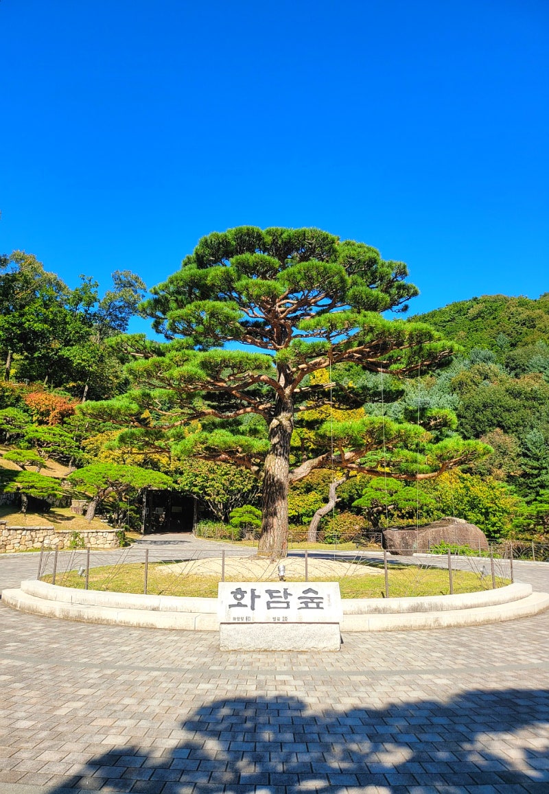 경기도 광주 곤지암 화담숲 모노레일 예약 방법 주차 2026년 단풍 절정시기 체크
