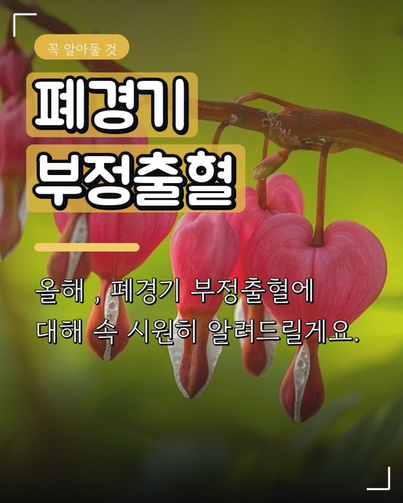 폐경기 부정출혈