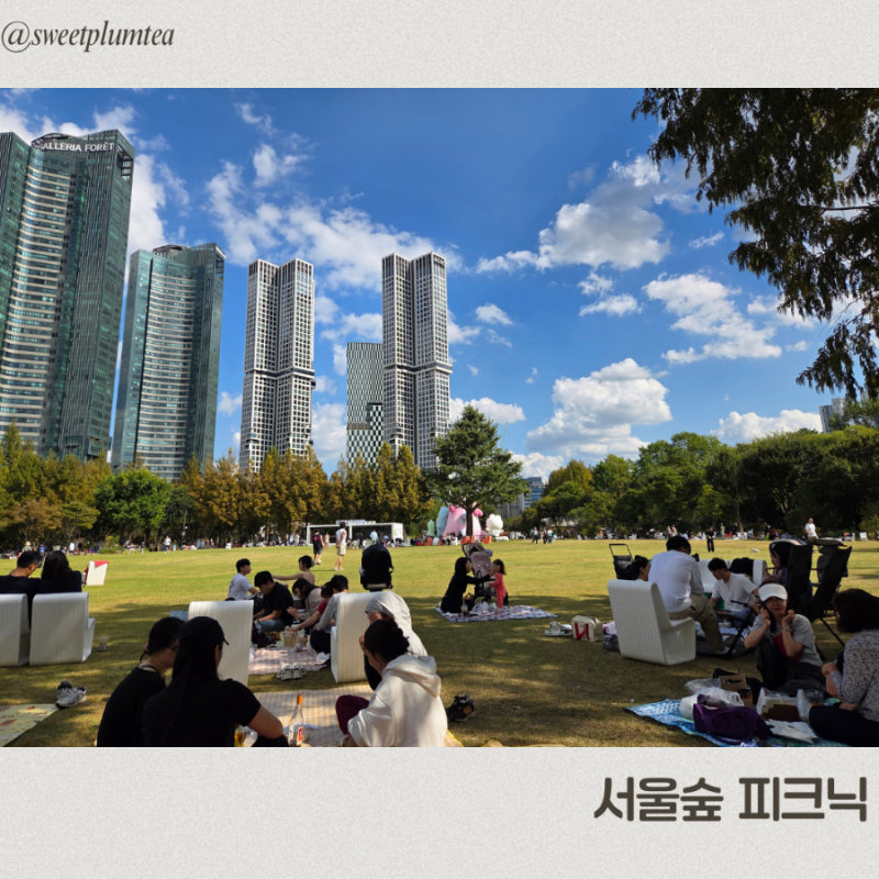 서울숲 피크닉 후기(배달존위치/피크닉장소/푸드트럭/서울숲분식)