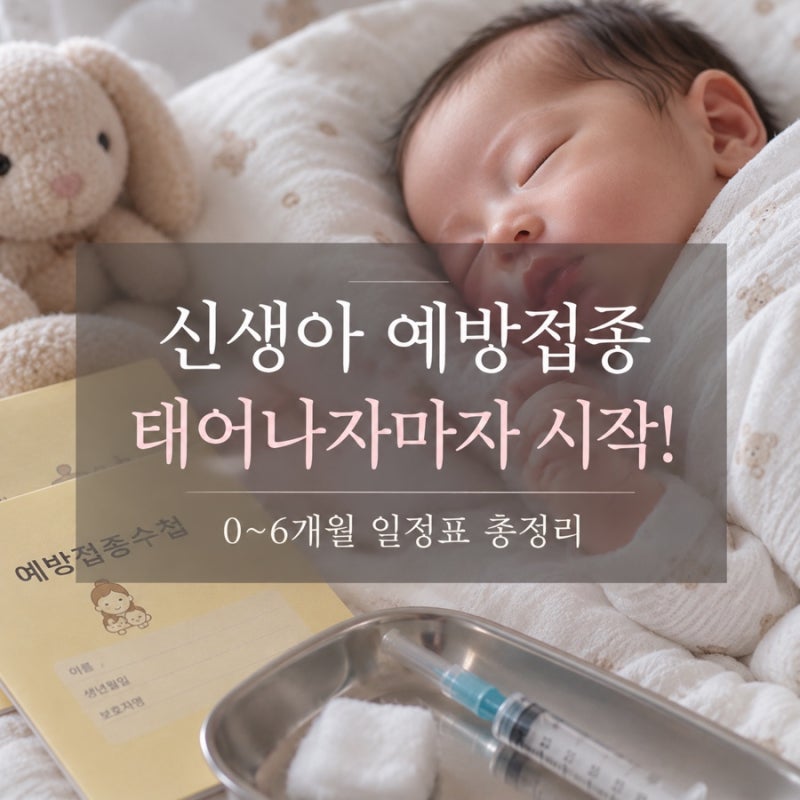 태어나자마자 예방접종 시켜야해요… 신생아 생후 6개월까지 접종 일정 총정리