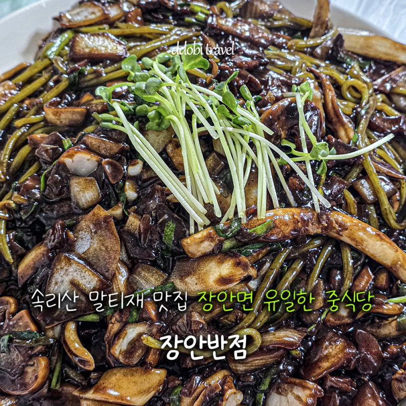 충북 보은 맛집 장안반점 말티재 전망대 근처 맛집