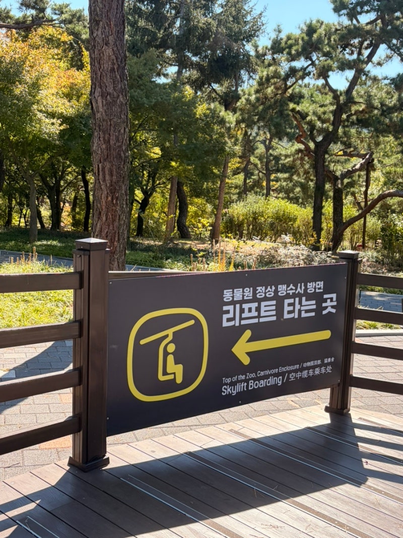 [서울] 서울어린이대공원 동물원 평일후기&준비물 | 서울 나들이 공원 서울 데이트 추천