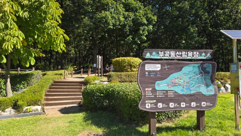 안산 아이와 가볼만한곳 부곡산림욕장｜무료 숲놀이터
