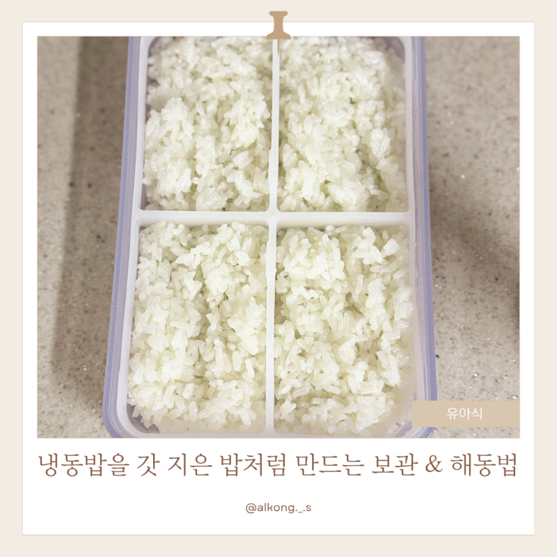 유아식 시작 필수 정보! 냉동밥을 갓 한 밥처럼 촉촉하게 데우는 해동 꿀팁