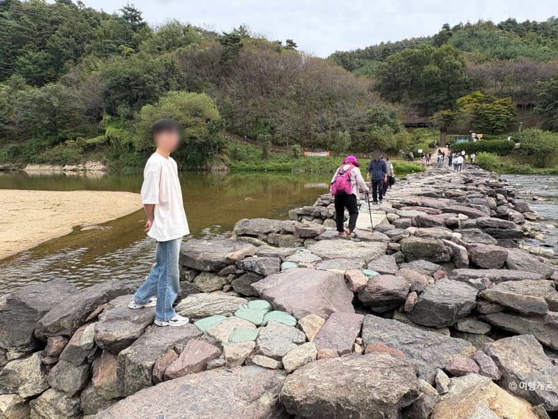 [충북] 진천 가볼만한 곳, 농다리 한바퀴, 황토맨발숲길부터 미르309 하늘다리까지
