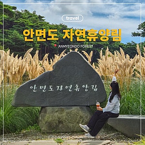 안면도 가볼만한곳 I 숲속에서 1시간 걷기 좋은 안면도 자연휴양림과 안면도 수목원