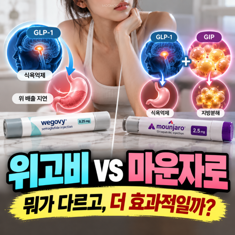 마운자로 위고비 가격 비교, 비만치료제 용량 처방 기준 및 가격 총정리