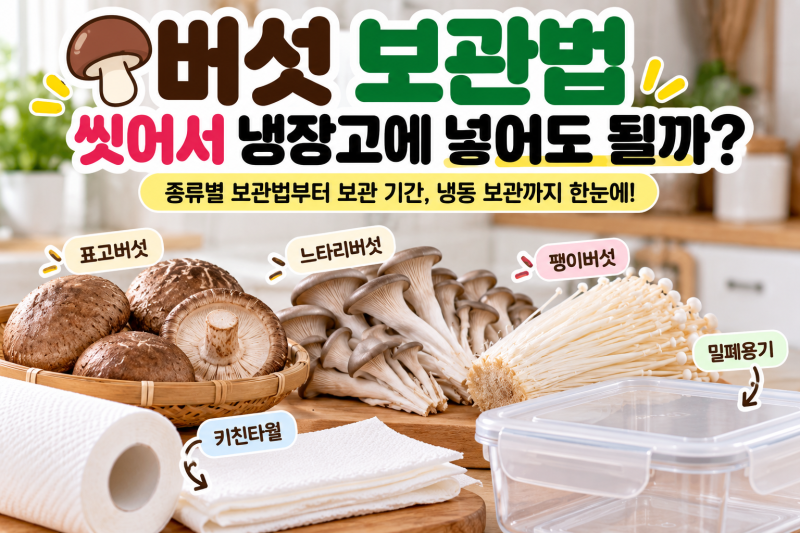 버섯 보관법, 씻어서 냉장고에 넣어도 될까?