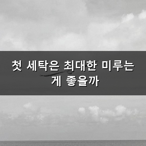 새로 산 생지 데님 물빠짐없이 오래 입는 법