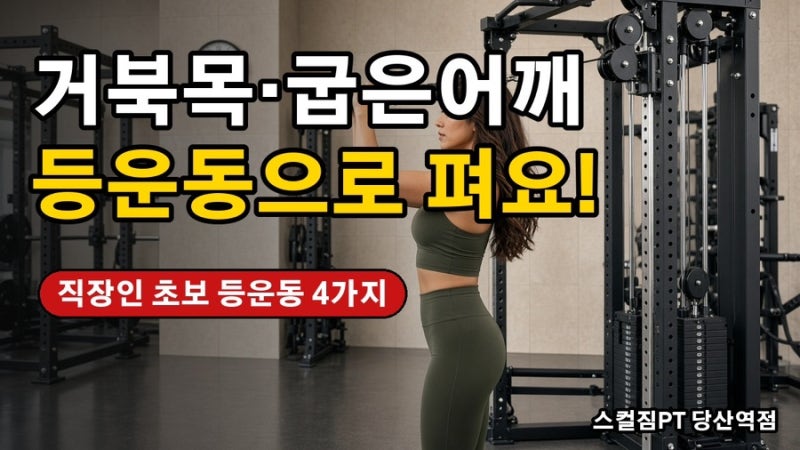 거북목·굽은 어깨, 등운동으로 펴세요! 직장인 초보 등운동 4가지