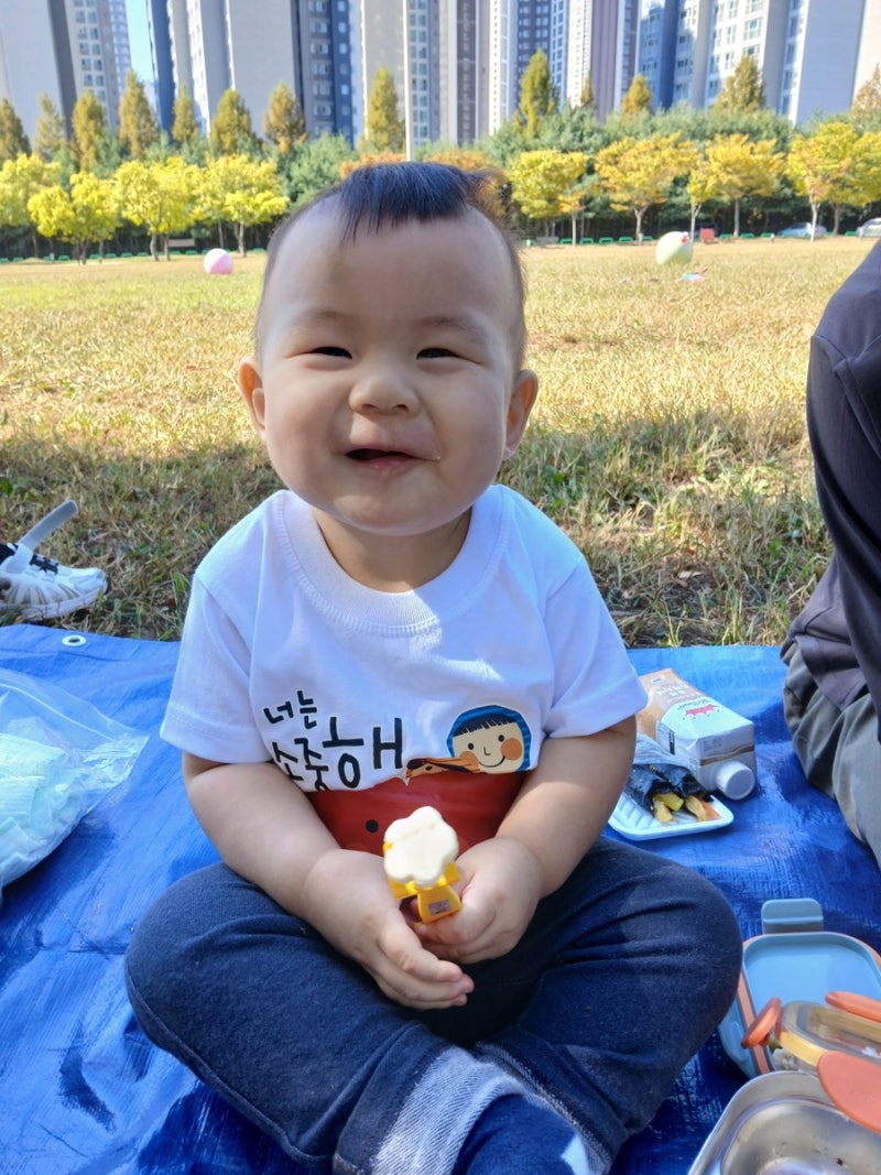 어린이집 가을 소풍 | 14개월 아기 도시락 꾸미기 (초간단 치즈빵 과일 레시피 공유)