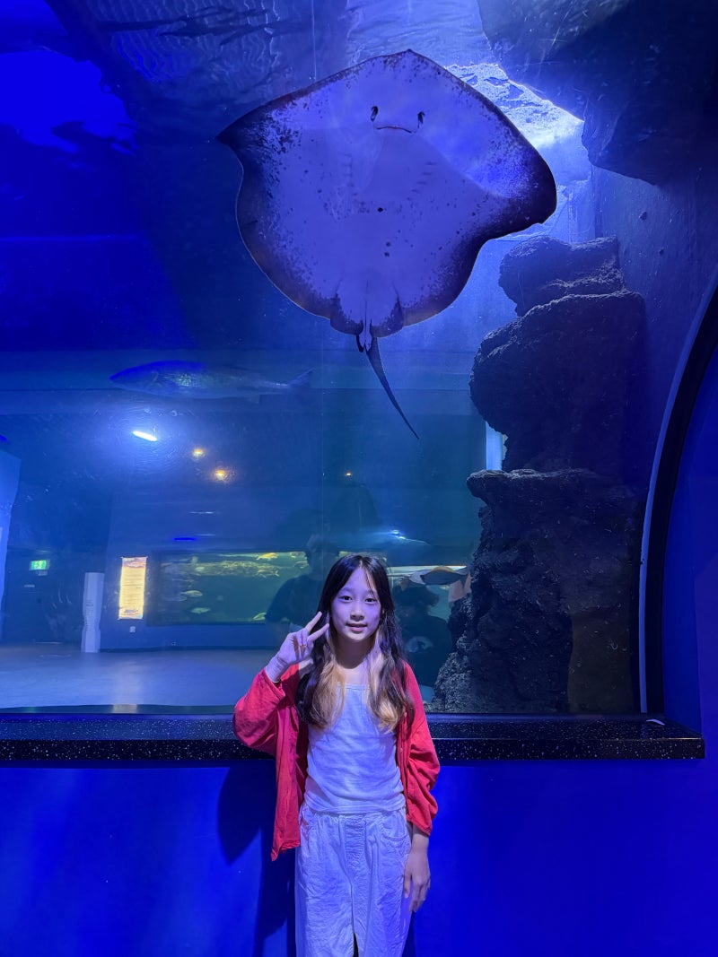 여수 아이와 가볼만한곳 해양수산과학관 입장료 체험수족관 후기+무슬목해변까지!