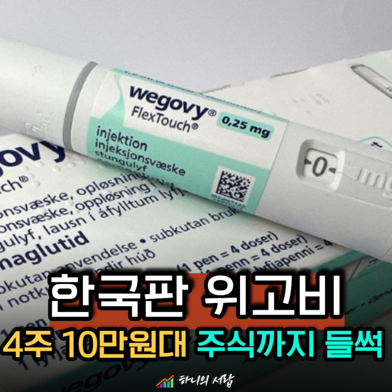 10년 걸린 한국판 위고비 허가에 하룻밤 새 14% 뛴 주식 정체