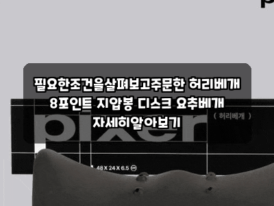 필요한조건을살펴보고주문한 허리베개 8포인트 지압봉 디스크 요추베개 자세히알아보기