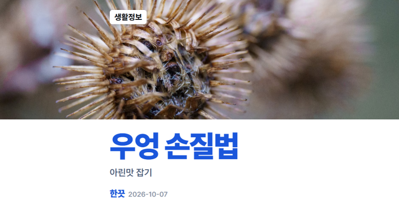 우엉 손질법 아린맛 빼기, 식초물 비율과 흙 우엉 보관법 비교