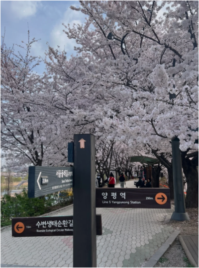 갱년기탈모 원인별 관리법과 영양제 주의사항 한 번에 보기