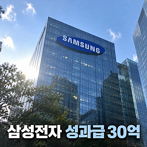 "삼성전자 들어온 게 인생 최대 업적"…성과급 30억 받는 부부