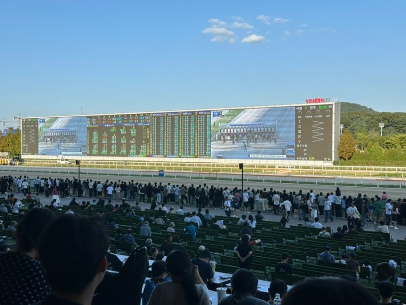 [과천] 렛츠런파크 서울 경마장 초보 가이드 | 마권, 구매권, 초보자용 쉬운 구매표 총정리 (....
