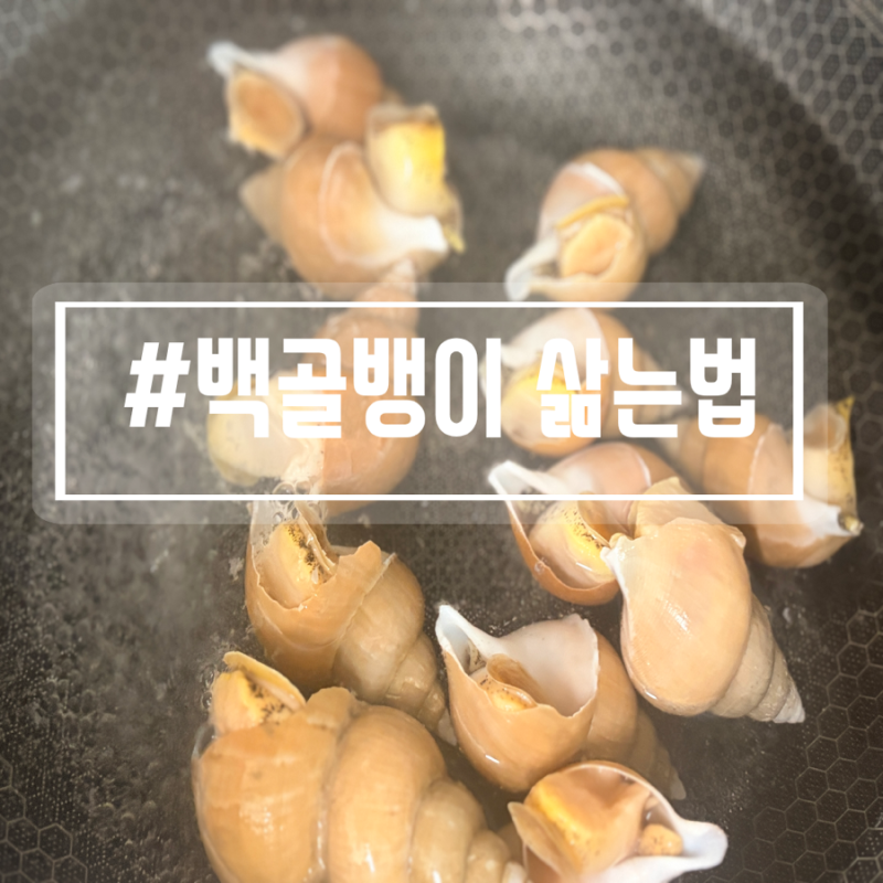 백골뱅이 숙회 레시피, 골뱅이 삶는 법 먹는 법, 골뱅이 데치기