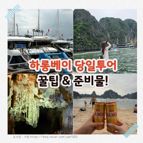 하노이 근교여행｜하롱베이 당일치기! 유람선·동굴·섬까지 즐기기~