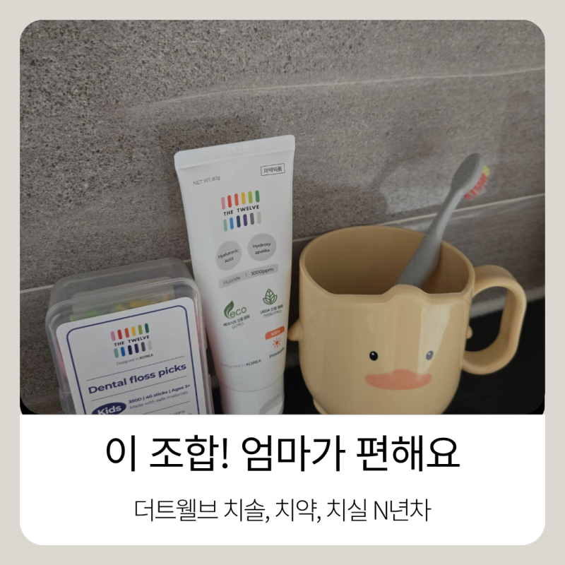 더트웰브 칫솔 5세 유아칫솔 치약 치실까지 꾸준히 사용하는 이유