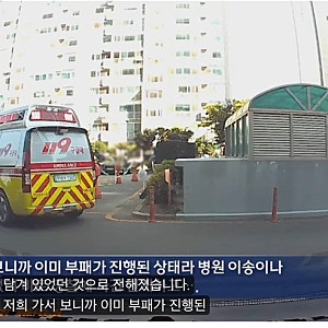 신생아 유기 살해 잇따라…영하 날씨 대야+아파트 화단에 버린 친모들 징역 3년6개월에 구속 ....