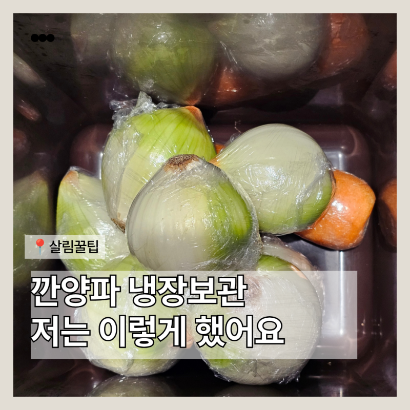 깐 양파 보관 냉장고 밀폐용기에 넣으면 오래 둘 수 있을까?