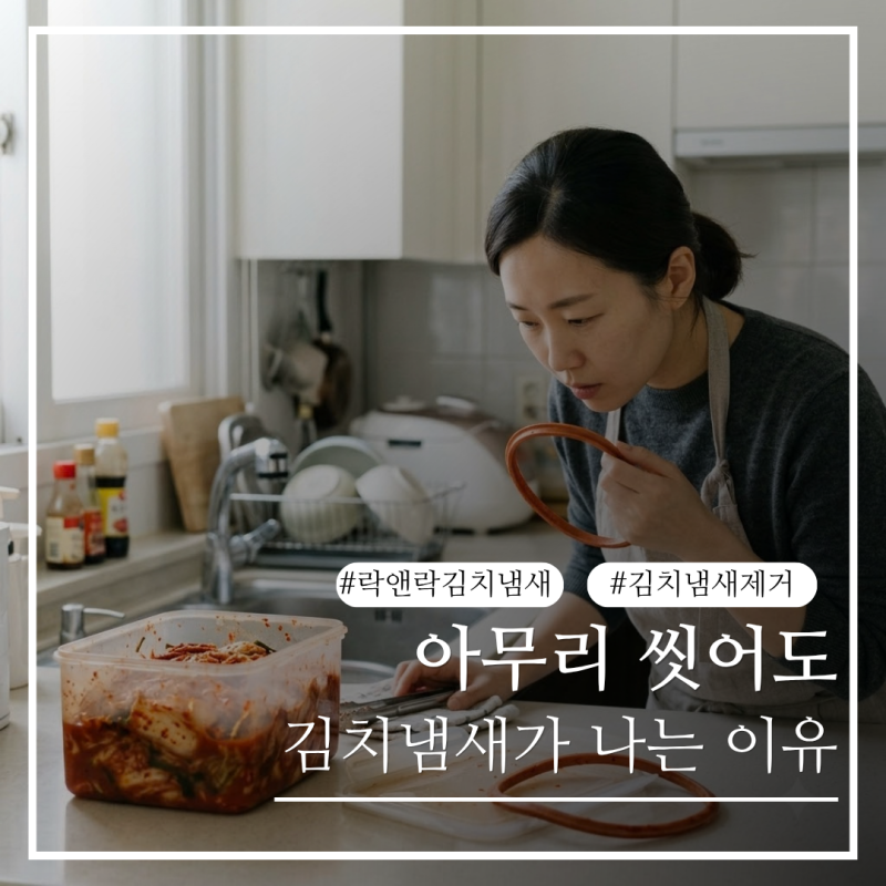 락앤락에 김치냄새가 안 빠지는 이유, 아무리 씻어도 남는 이유