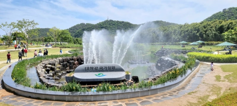 국가 정원 태화강 십리대숲 中